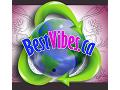 BestVibes - logo