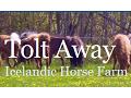 Tolt Away - logo
